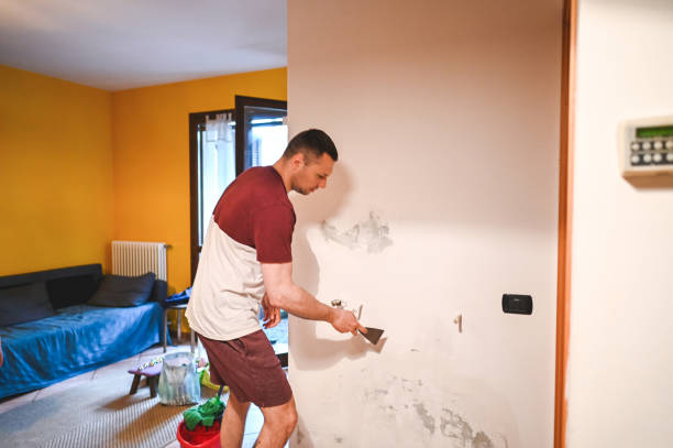 Best Fast Mold Removal  in Irwin, PA